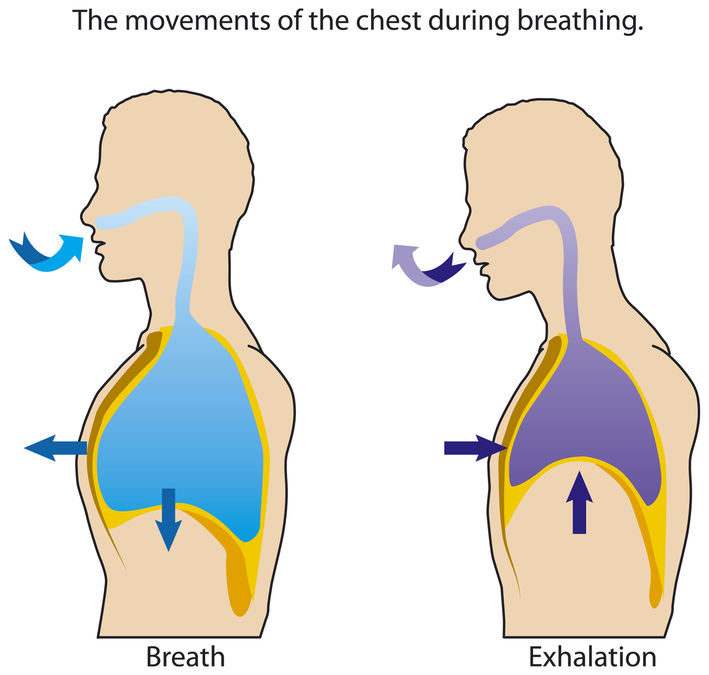 Vacuum and pressure while breathing.