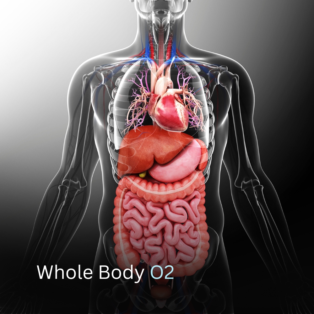 Whole Body O2