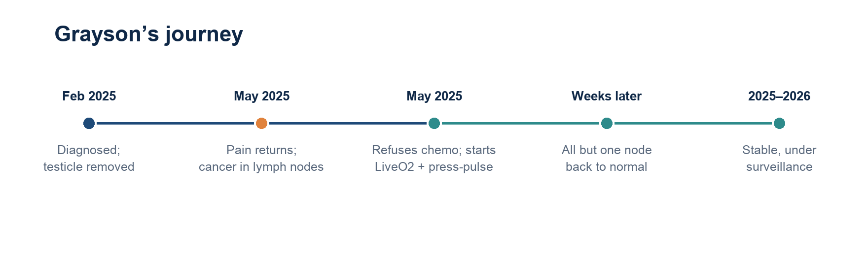 Timeline of Grayson’s cancer journey: diagnosis, surgery, cancer found in the lymph nodes, declining chemo and starting LiveO2, then most nodes returning to normal and stable under surveillance